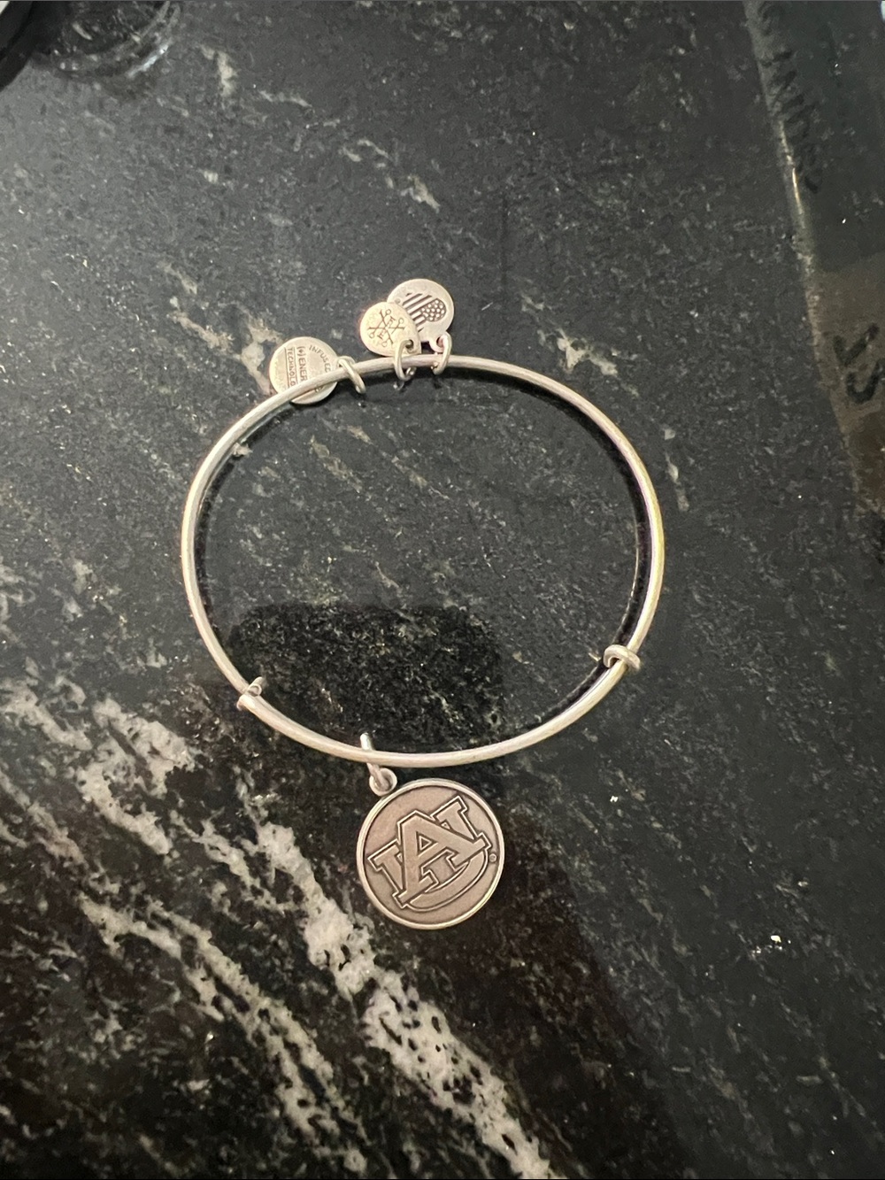 Alex and Ani Silver-Tone University Logo Charm Bangle